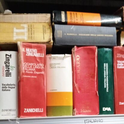 dizionario